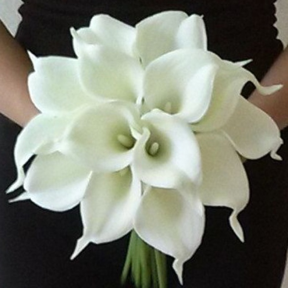 Meet your Posher, KY